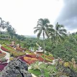 Cebu Safari and Adventure Park