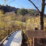 Thundering Brook Falls Trail