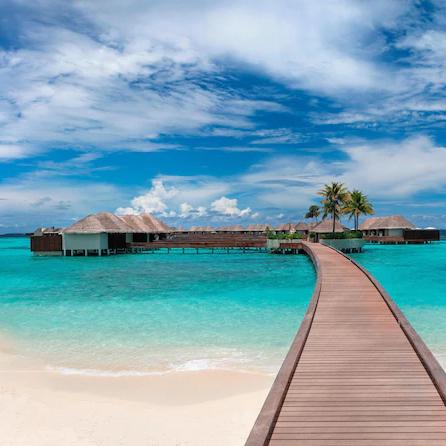 Our Maldives Honeymoon Fund