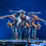 Catch a show or performance!