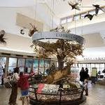 Powder Valley Conservation Nature Center