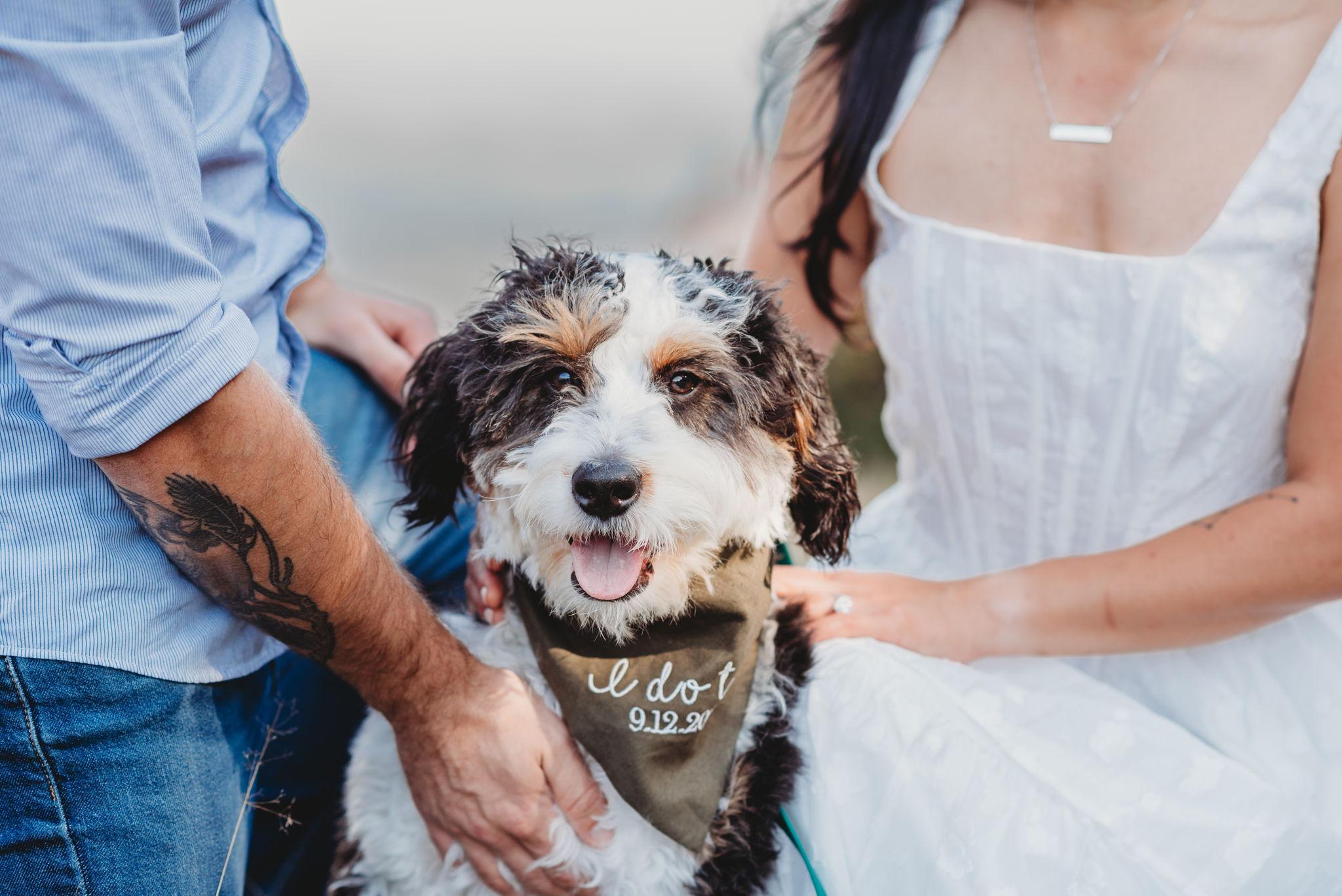 The Wedding Website of Aimee Fong and Lewis Daidone