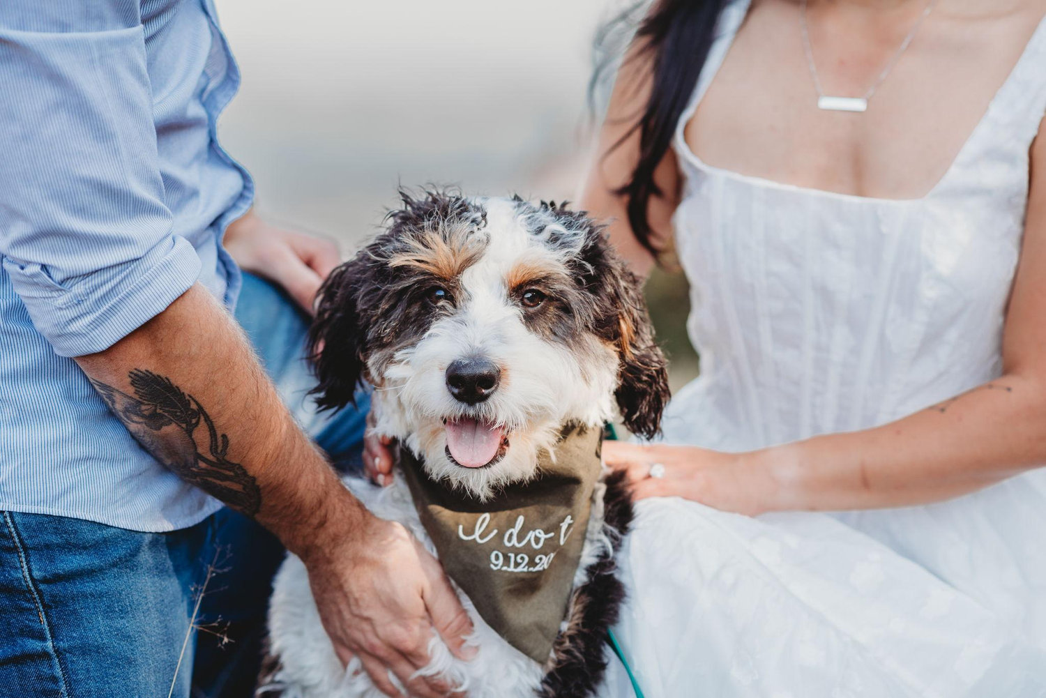 The Wedding Website of Aimee Fong and Lewis Daidone