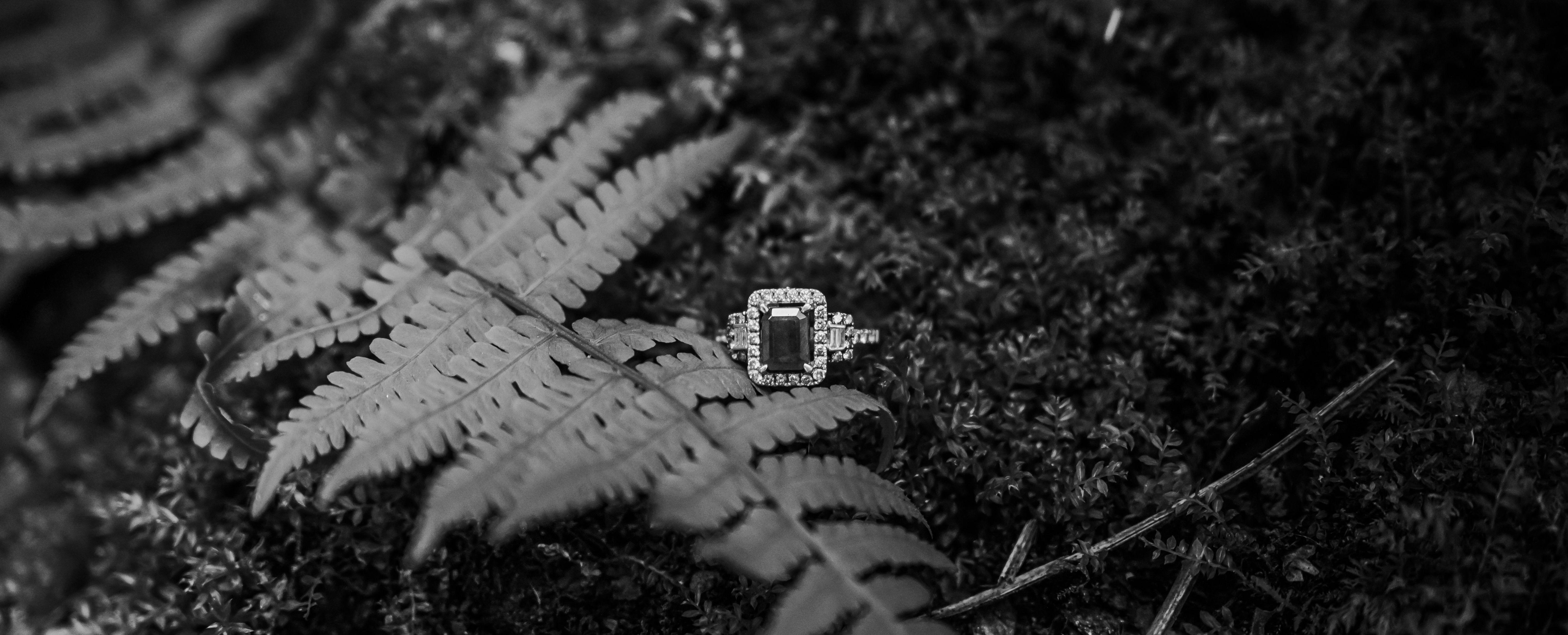 The Wedding Website of Talitha Stella and Michael Olivera