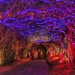 Bellingrath Gardens & Home