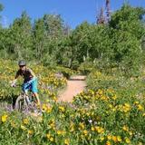 Spring Creek Trail Head