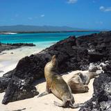 Islas Galápagos