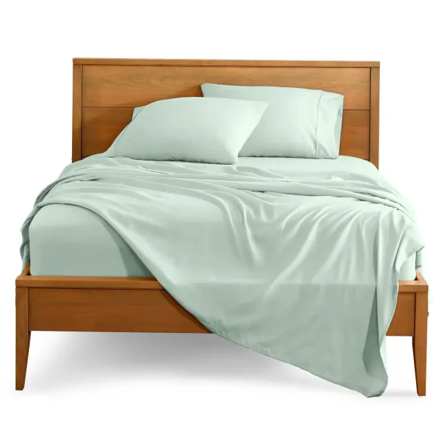 Queen Spring Mint 4 Piece Ultra-Soft Double Brushed Sheet Set by Bare Home
