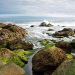 Sachuest Point National Wildlife Refuge