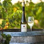Waterman Winery & Vineyards
