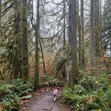 Washington Park Arboretum