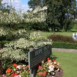 Hope Park