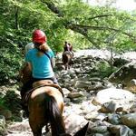 Horseback Riding Tour with ATV and Zip Line