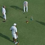 Lawn Sports