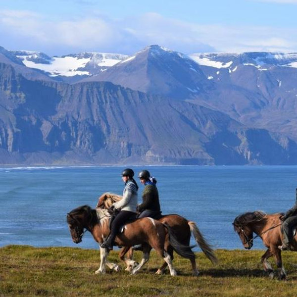 Horseback Riding in Iceland