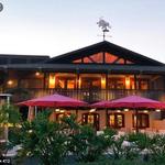 Pink Elephant Restuarnt (Island Causal)