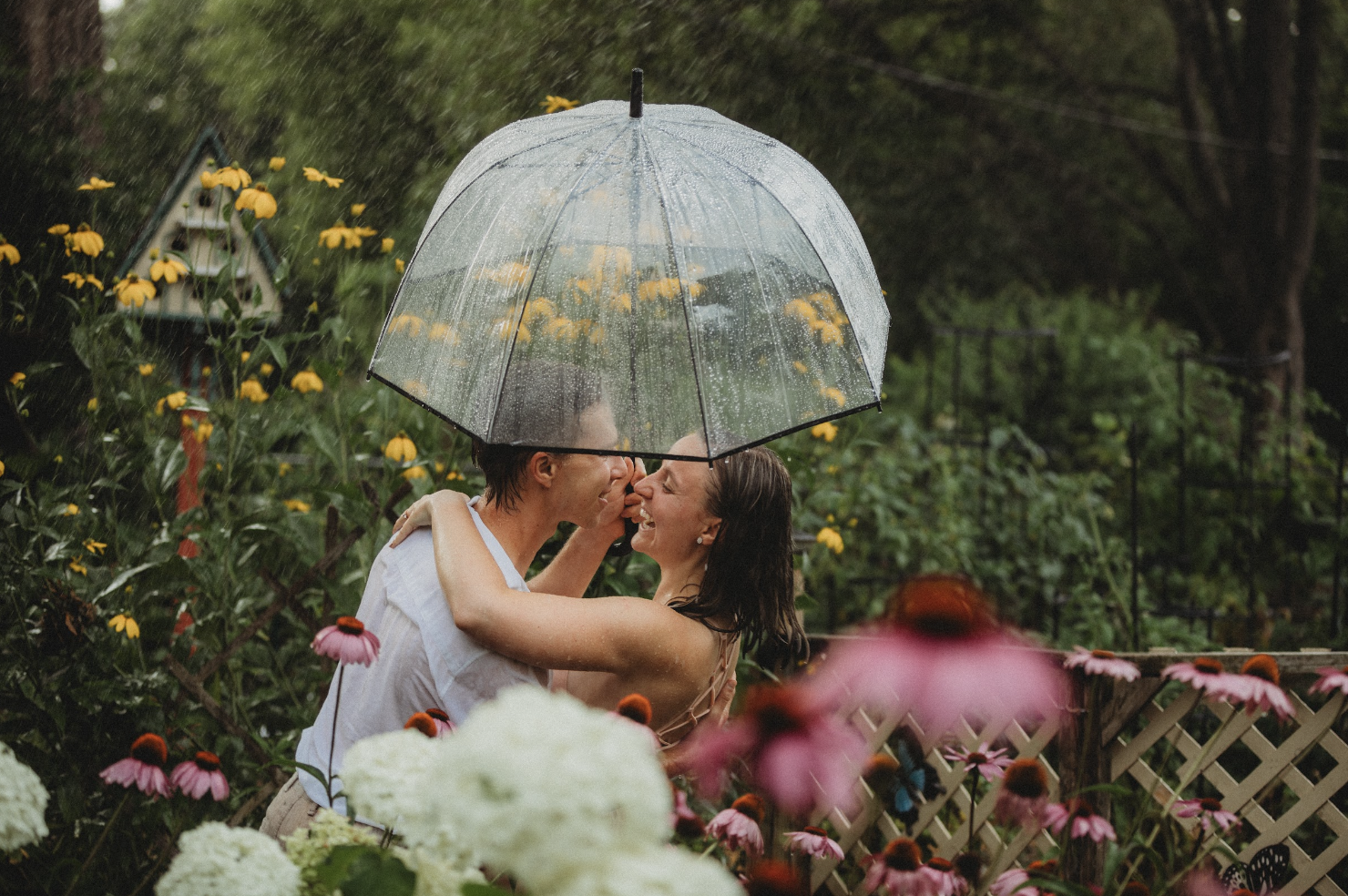 9e36e6c1-86a8-4dd4-970a-a3f9321938b5