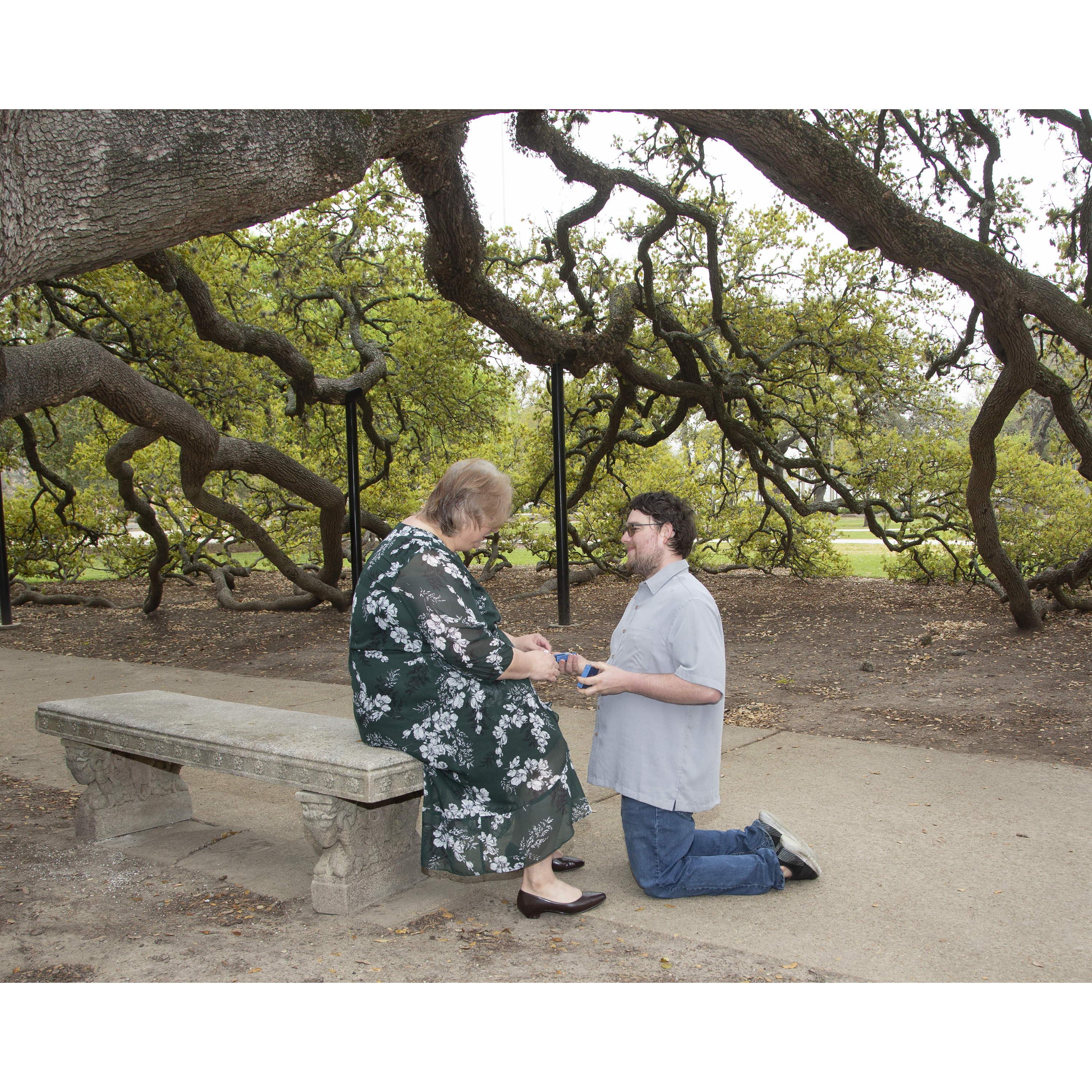 David proposes to Katy. David actually proposed earlier in December 2021 at a holiday party with family