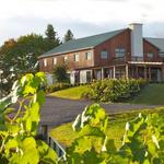 Barren Ridge Vineyards