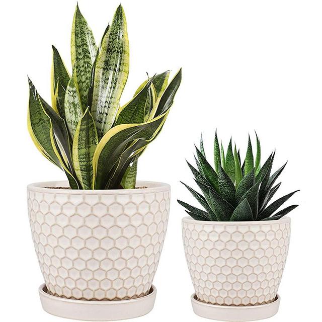 Docrin Ceramic Flower Pots - 6.6 and 5.5 Inch Planter Pot with Drainage Holes and Tray for Succulent, Flower and Plant, Gardening Decoration Gift,Indoor or Outdoor,Set of 2, White