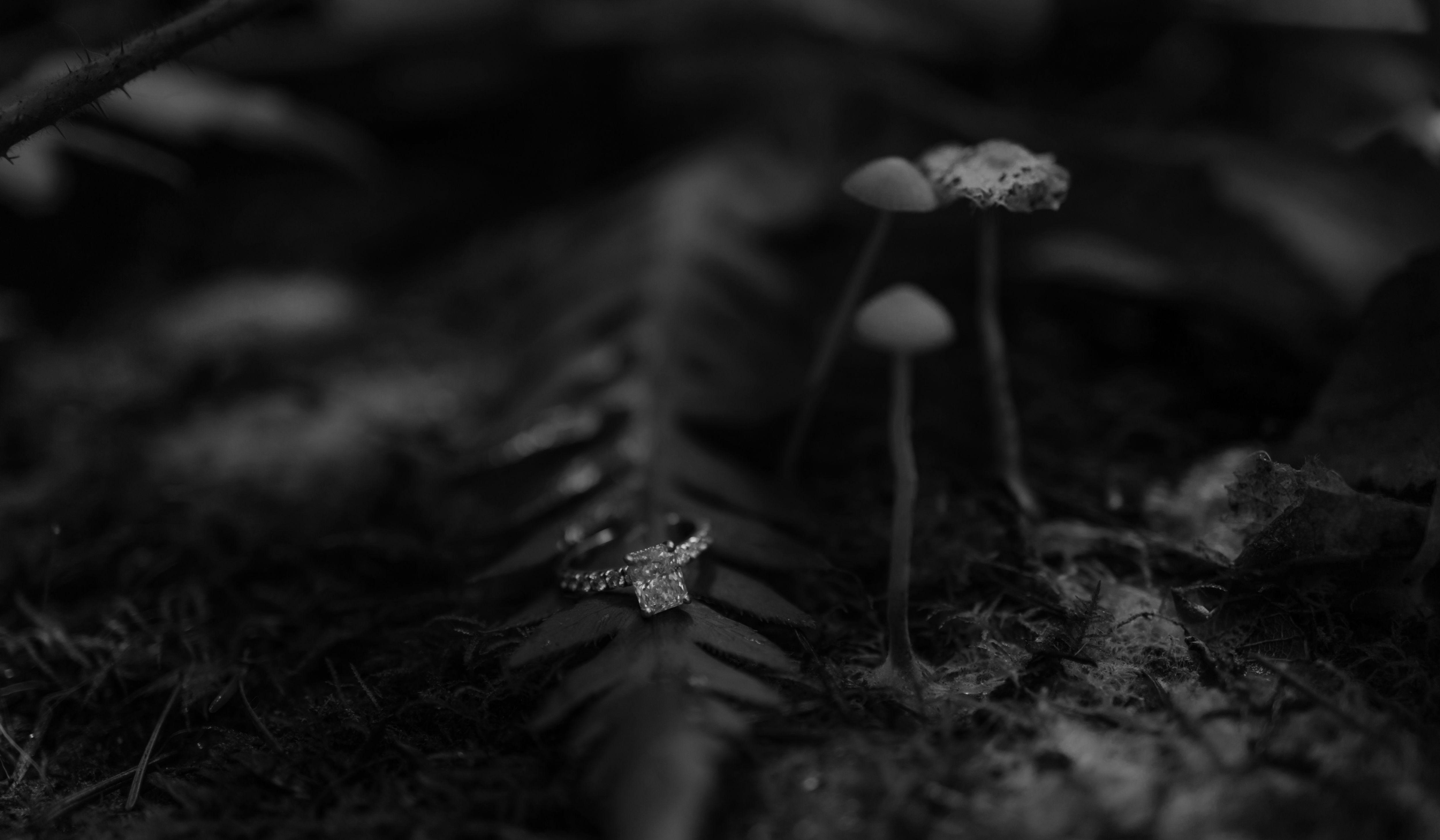 Footer image