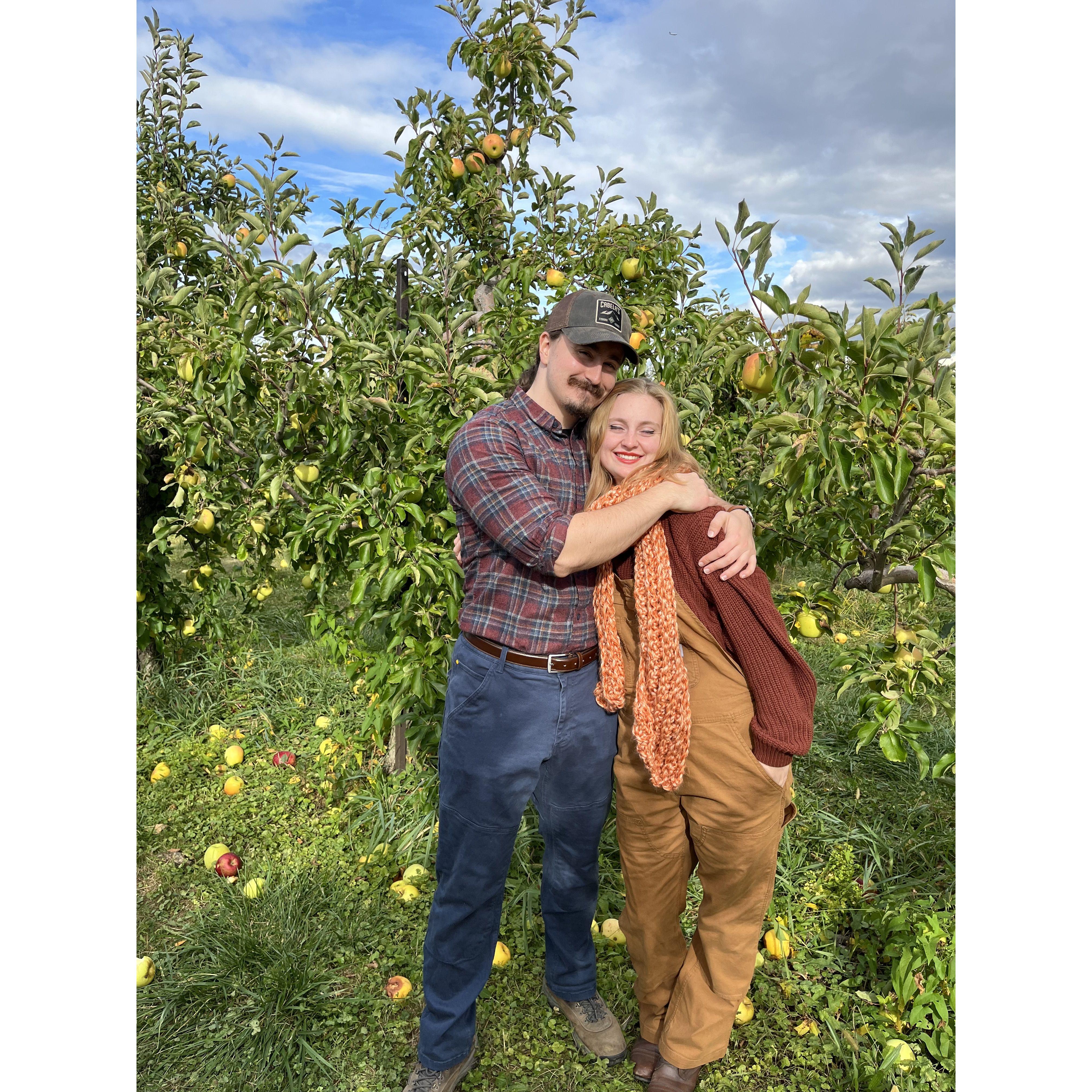 Apple picking