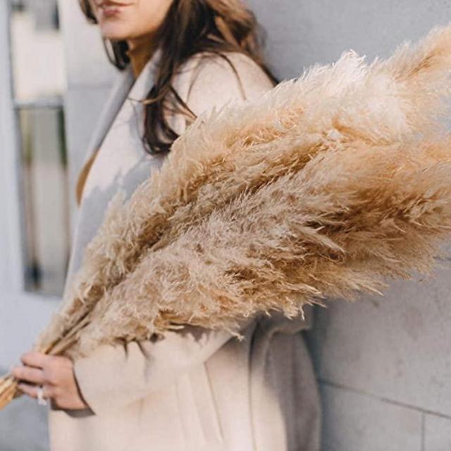Emir&Odin 40" inch 15 Stems Natural Dried Pampas Grass – Tall, Large and Fluffy, No Shedding No Stench, 15 pcs Stems and 40" (100cm) Length, for Home, Office, Wedding and Events Decor