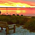 Emerson Point Preserve