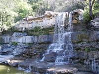 Zilker Botanical Garden