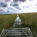 Tigertail Airboat Tours