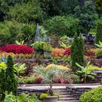 Sarah P. Duke Gardens