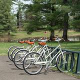 Bicycle Rides