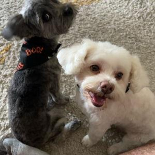 Spoil Juno & Josie