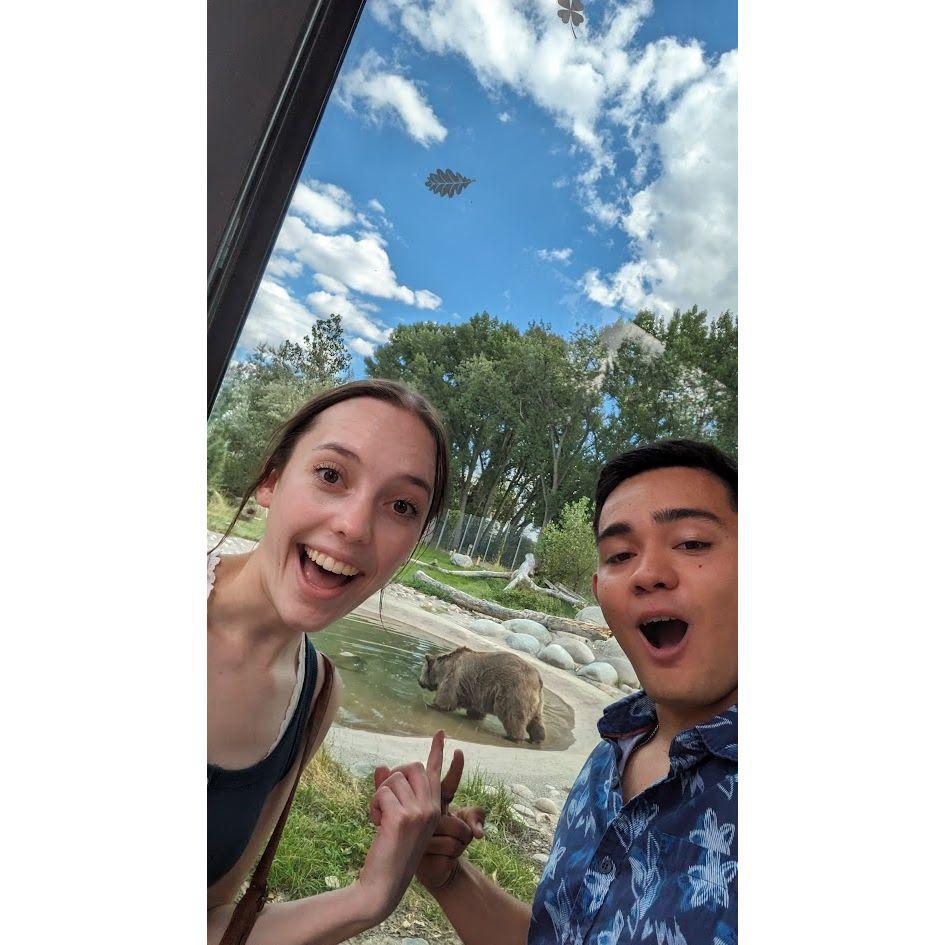 Billings Zoo