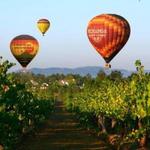 Wine Country