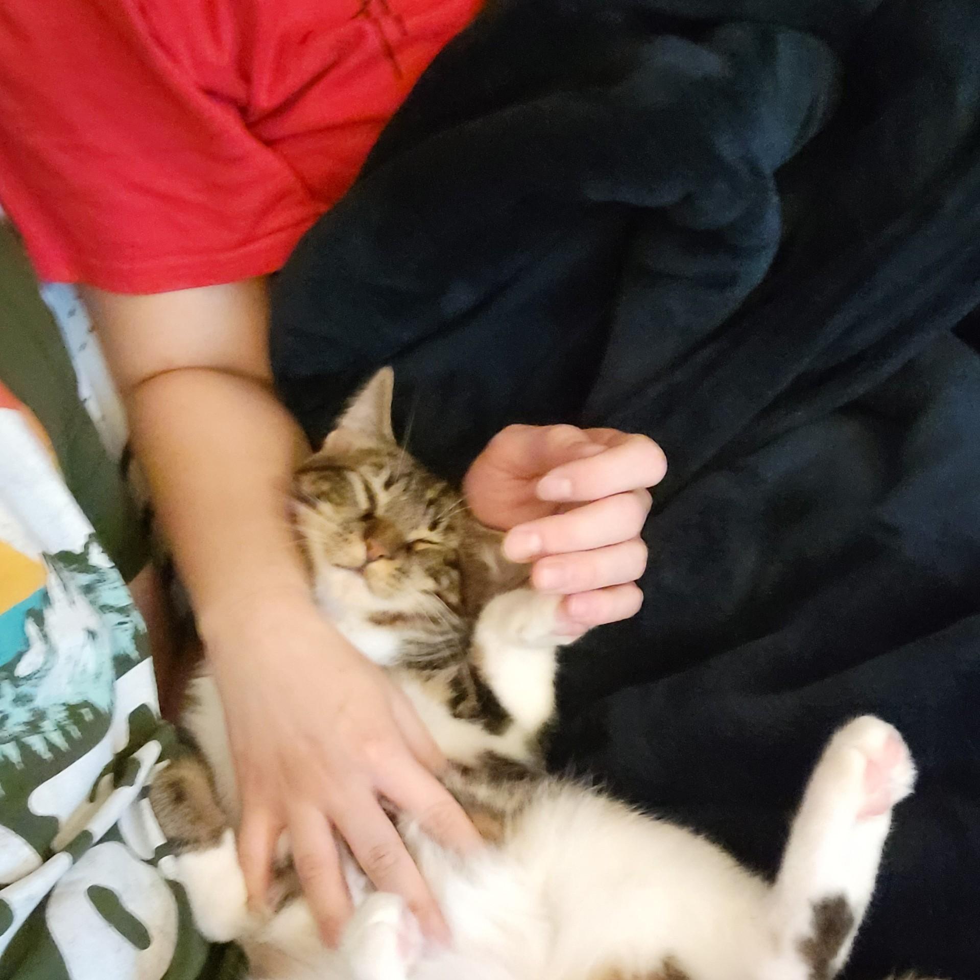 How we spend our evenings