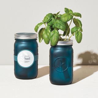 Basil Garden Jar