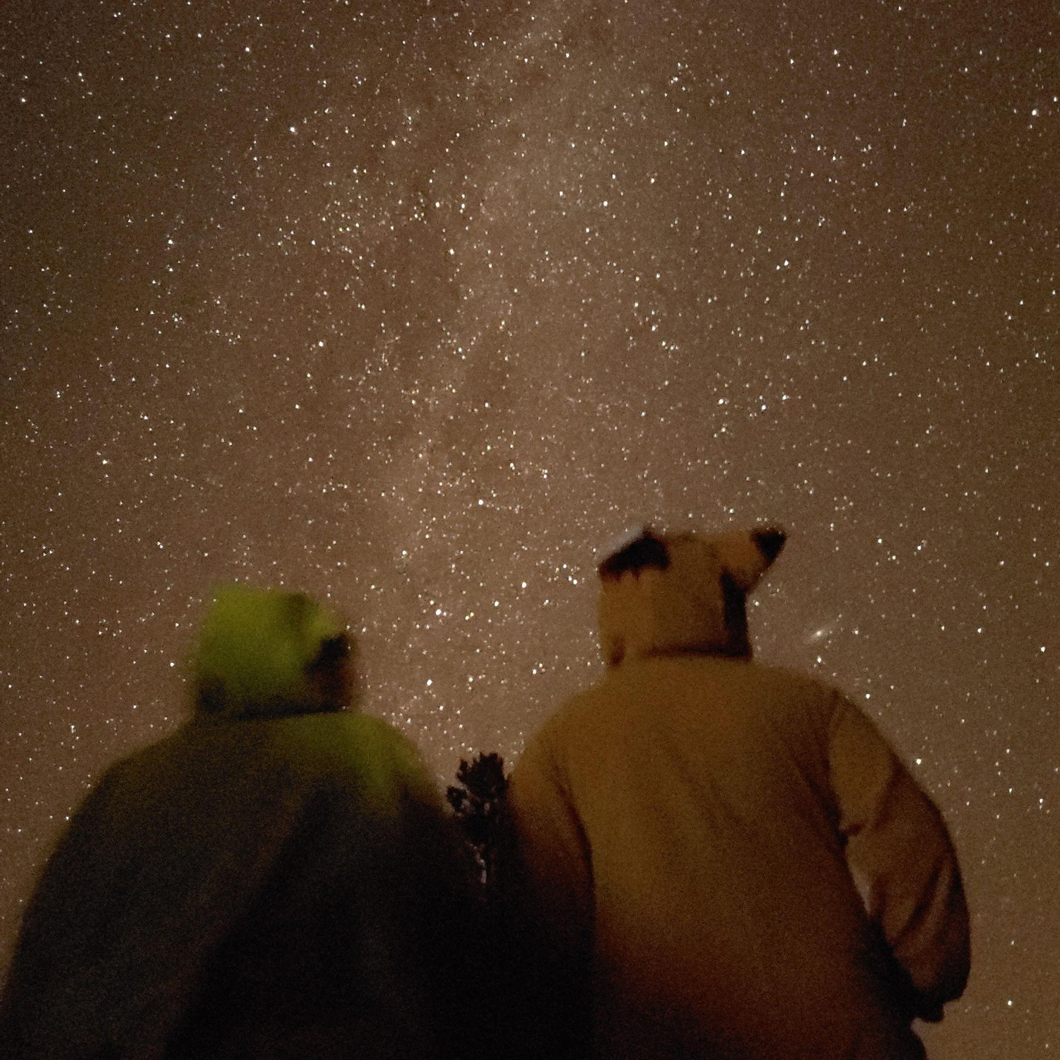 Frist camping trip under the stars!