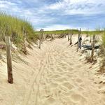 Head of the Meadow Beach