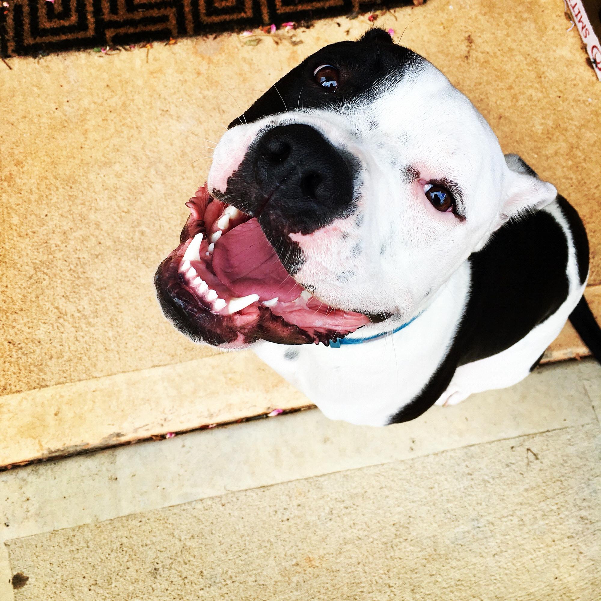 Porter, age3, middle child, ‘total mama’s baby’