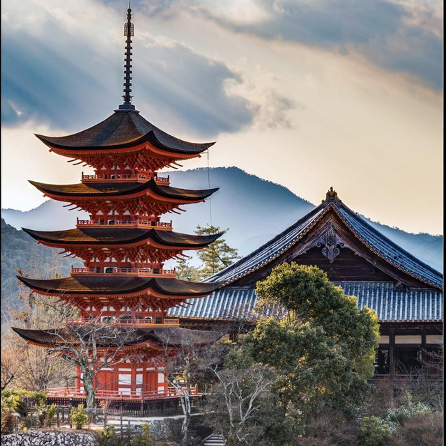 Honeymoon to Japan