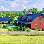 Williams Gap Vineyard