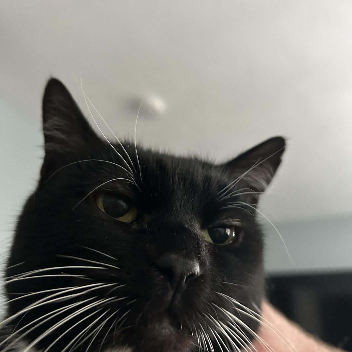 Our girl Tabitha!