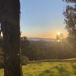 Claremont Canyon Hike