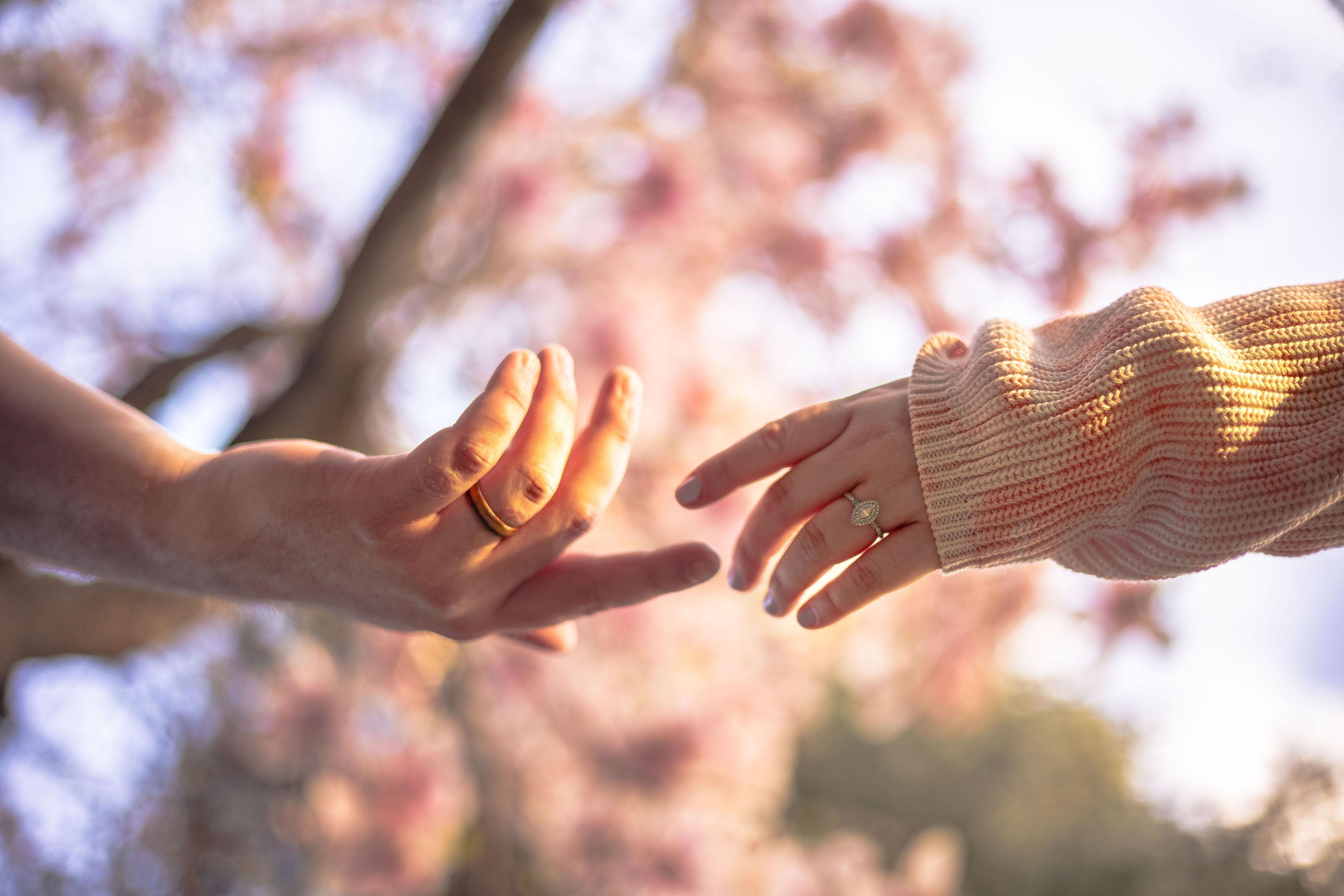 The Wedding Website of Katelyn Rose and James Parrish