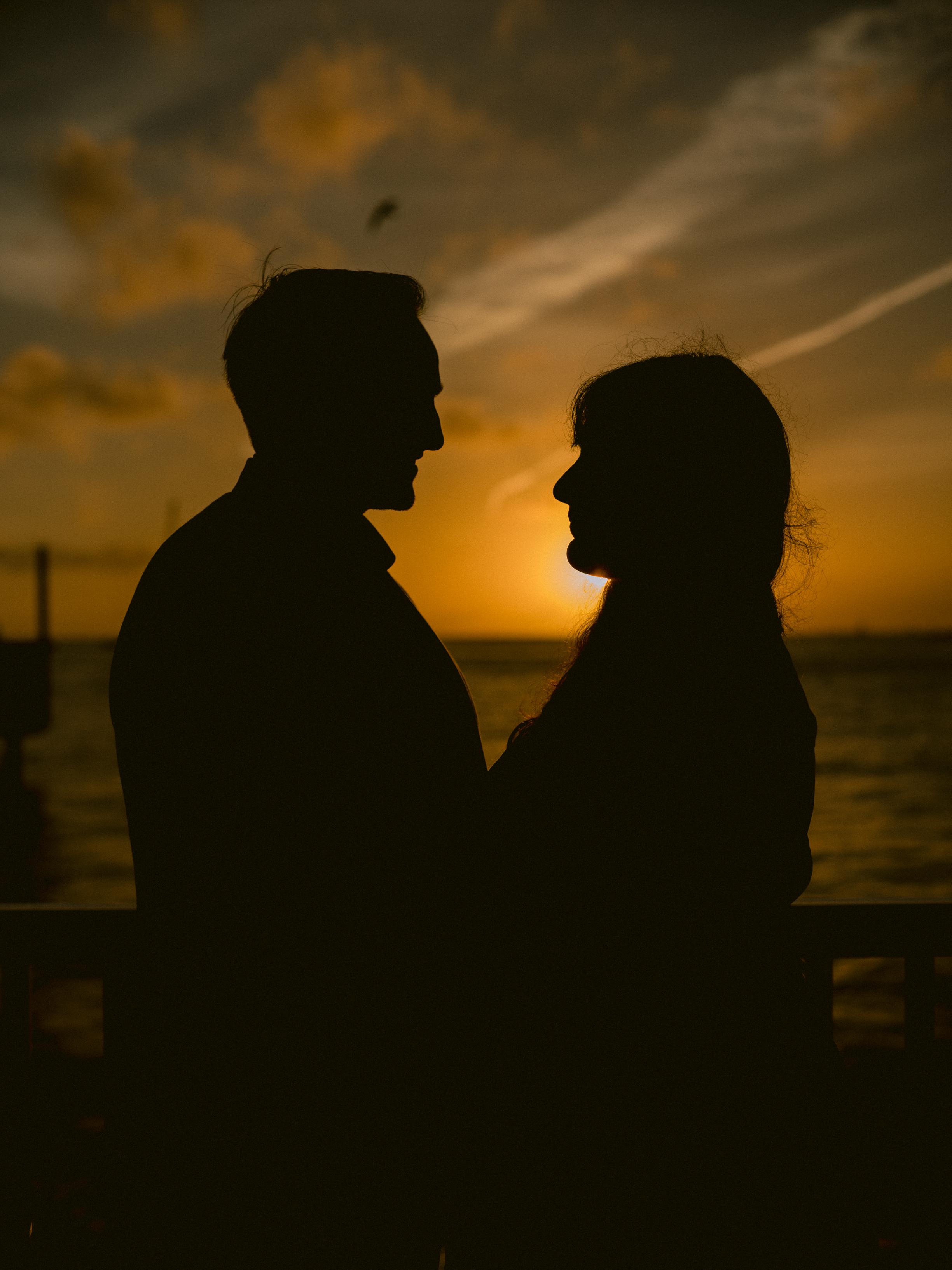 The Wedding Website of Kunal Patel and Minal Gandhi