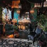 Black Veil Shoppe of Drear & Wonder