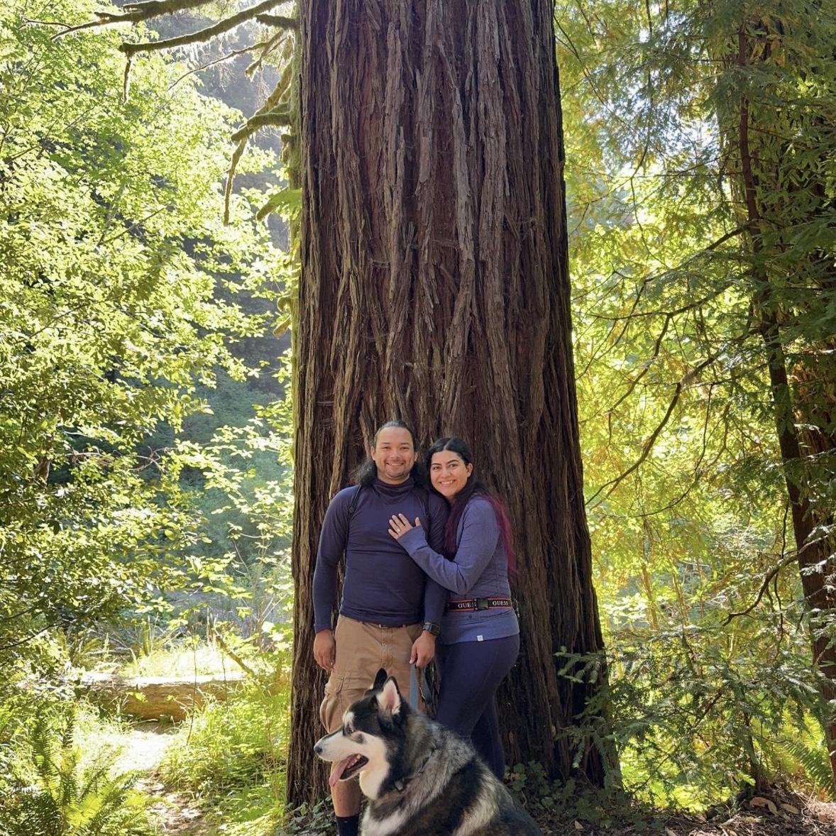 Redwoods 2024