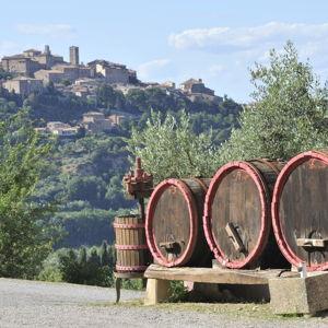 Wine tasting day in Italy