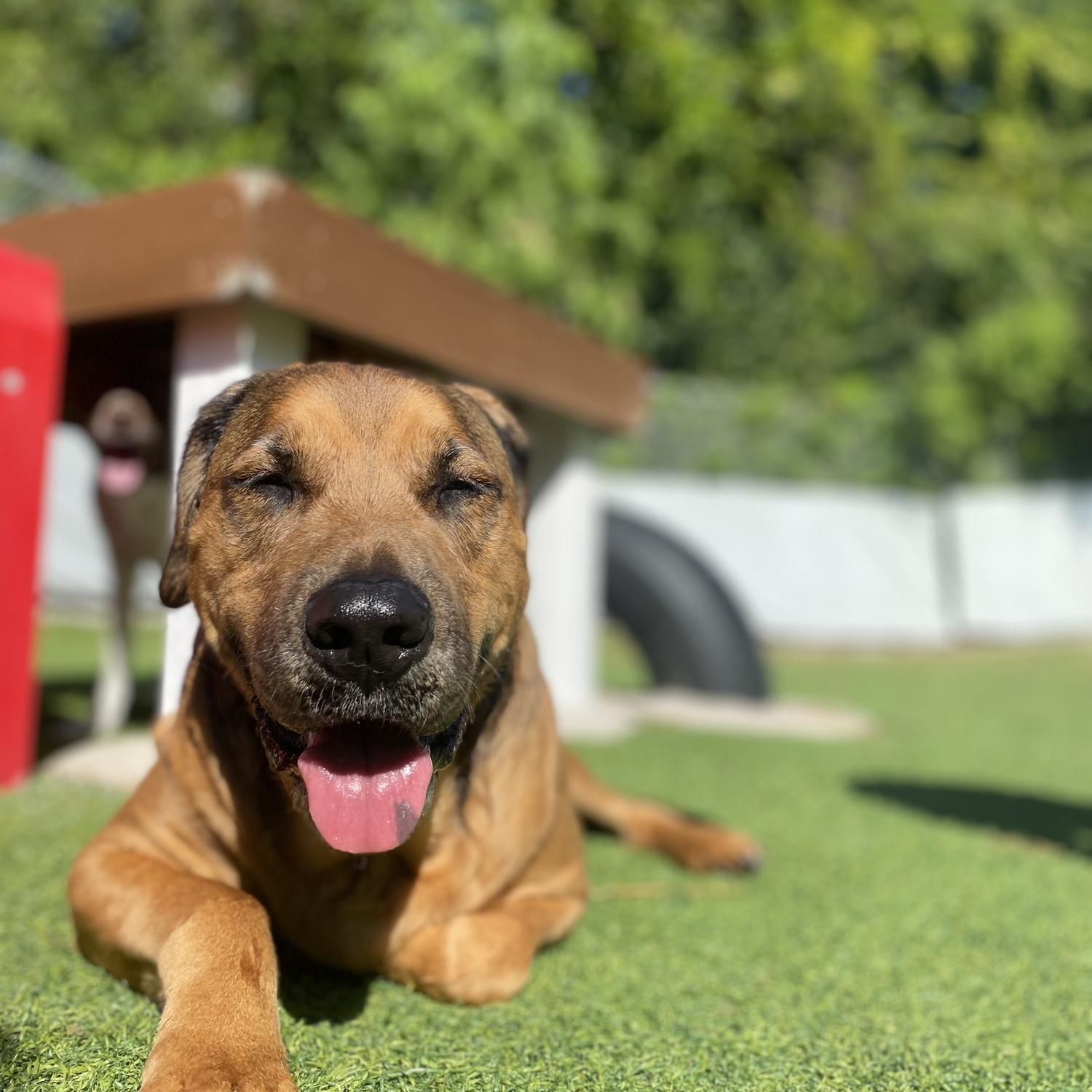 Our sweet baby Peanut